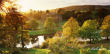 Autumn Sunset at Bolton Abbey Card - by Mark Denton Photography