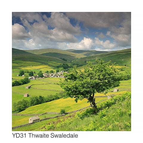 Thwaite in Swaledale Card - David Tarn Photography