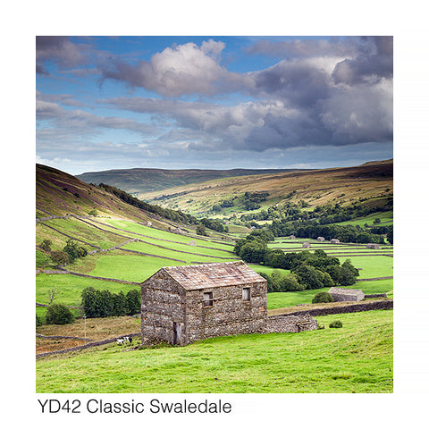 Classic Swaledale Card - David Tarn Photography
