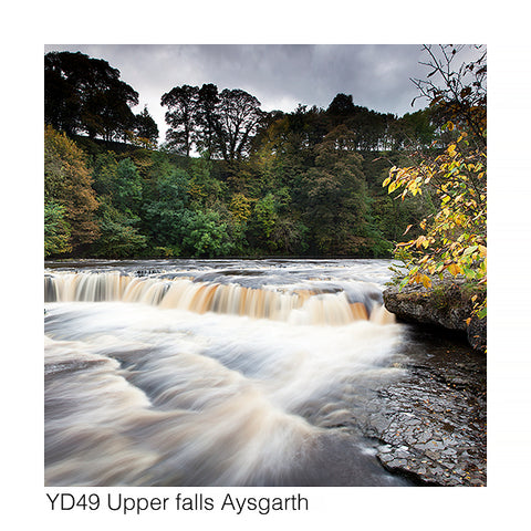 Upper Aysgarth Falls Card - David Tarn Photography