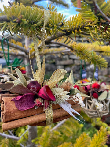 DCM Events - Natural Christmas Decorations - Friday 4 December