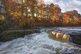 1 x Yorkshire Dales Calendar 2025 by Wendy McDonnell