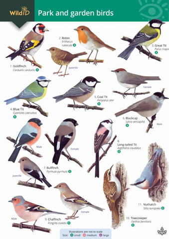 Guide To Park and Garden Birds - FSC