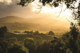 1 x Yorkshire Dales Calendar 2025 by Wendy McDonnell