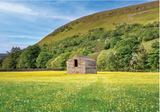 Yorkshire Dales Calendar 2025 by Wendy McDonnell