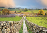 Yorkshire Dales Calendar 2025 by Wendy McDonnell