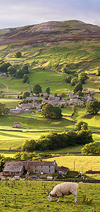 Side Light on Healaugh Swaledale Card- by Mark Denton Photography