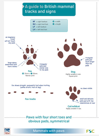 Guide to Mammals Tracks and Signs- FSC