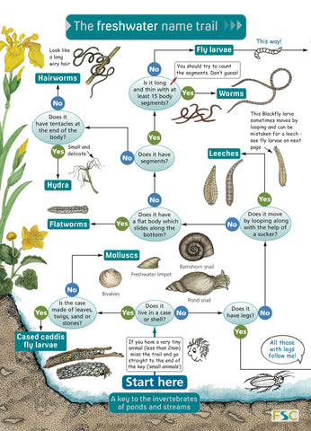 Freshwater Name Trail - FSC