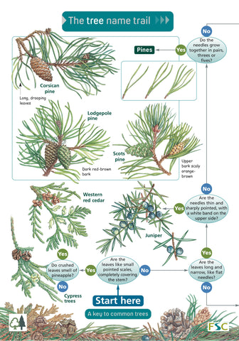 Tree Name Trail - FSC